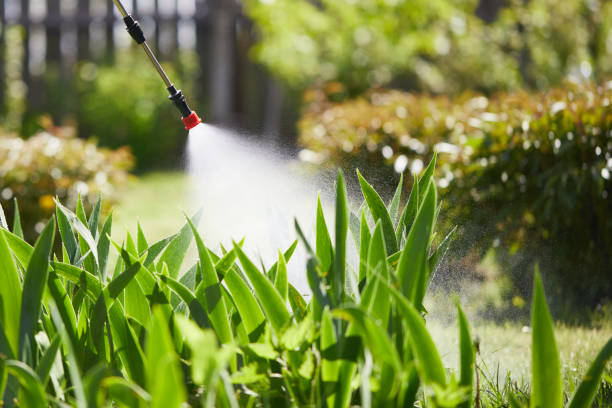 24/7 Emergency Fumigation Services experts in Hesston, KS