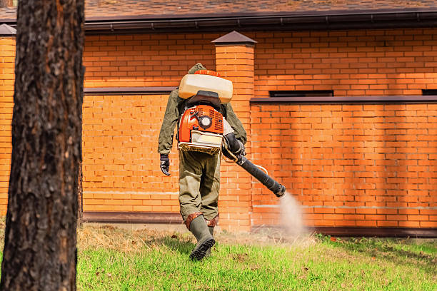 Trusted Termite Control service in Hesston, KS - Nex Pest Control